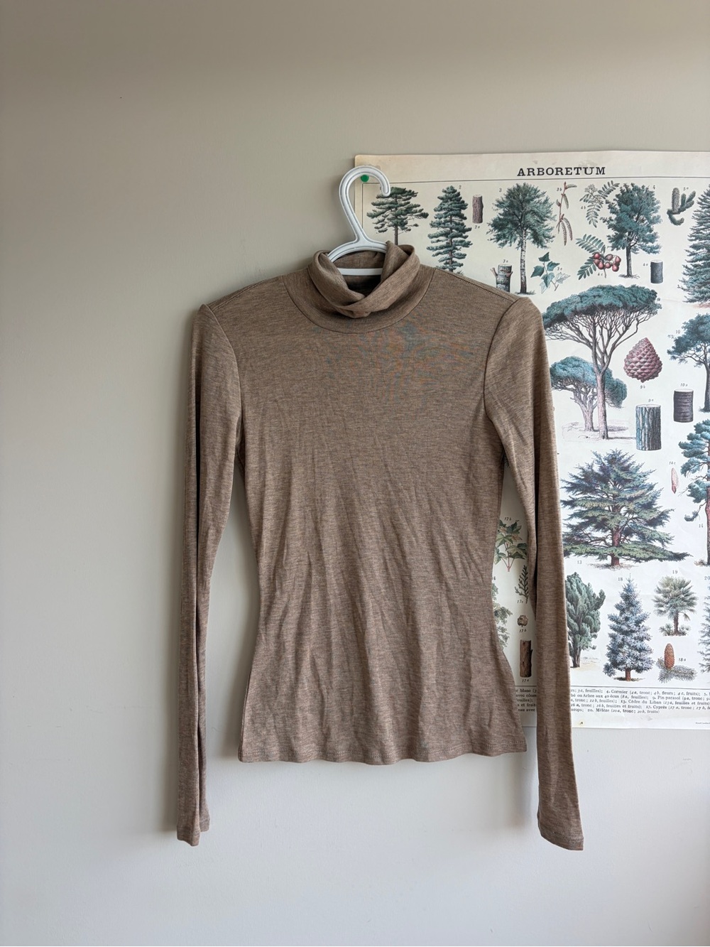 RW&CO Brown Turtleneck Small